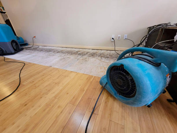 Professional Water Damage Repair technician working in South Bethlehem, NY